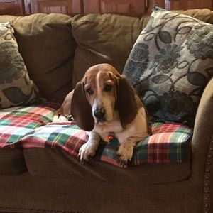 Meet your Posher, Melinda